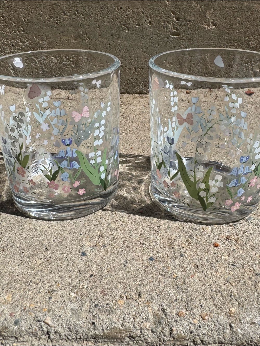 Glass Tumbler Pair Made in France Springcore Hand Painted Butterflies & Flowers